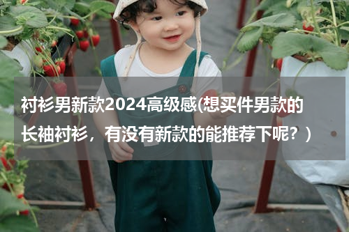 衬衫男新款2024高级感(想买件男款的长袖衬衫，有没有新款的能推荐下呢？)