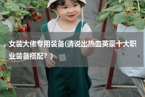 女装大佬专用装备(请说出热血英豪十大职业装备搭配？)
