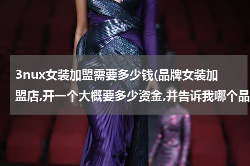 3nux女装加盟需要多少钱(品牌女装加盟店,开一个大概要多少资金,并告诉我哪个品牌好做)