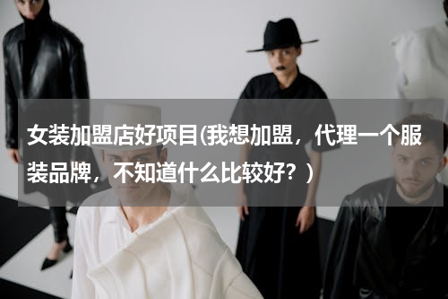 女装加盟店好项目(我想加盟，代理一个服装品牌，不知道什么比较好？)