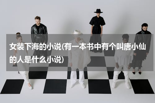 女装下海的小说(有一本书中有个叫唐小仙的人是什么小说)