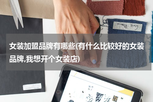 女装加盟品牌有哪些(有什么比较好的女装品牌,我想开个女装店)