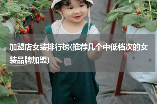 加盟店女装排行榜(推荐几个中低档次的女装品牌加盟)