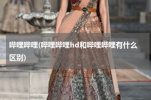 哔哩哔哩(哔哩哔哩hd和哔哩哔哩有什么区别)