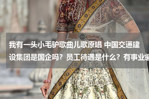 我有一头小毛驴歌曲儿歌原唱 中国交通建设集团是国企吗？员工待遇是什么？有事业编制吗？？
