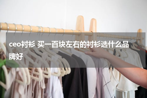 ceo衬衫 买一百块左右的衬衫选什么品牌好
