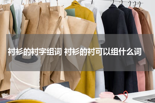 衬衫的衬字组词 衬衫的衬可以组什么词