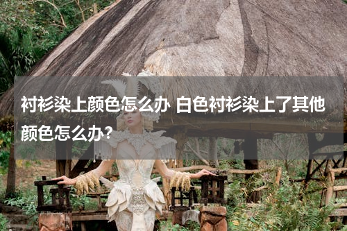 衬衫染上颜色怎么办 白色衬衫染上了其他颜色怎么办？