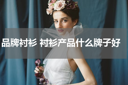 品牌衬衫 衬衫产品什么牌子好