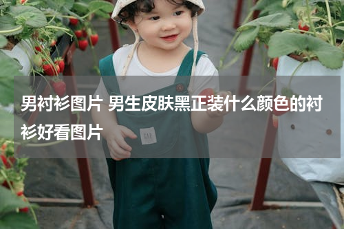男衬衫图片 男生皮肤黑正装什么颜色的衬衫好看图片