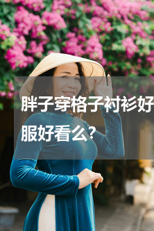 胖子穿格子衬衫好看吗 胖胖的人穿格子衣服好看么？
