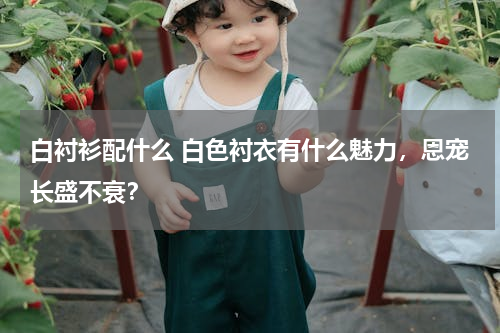 白衬衫配什么 白色衬衣有什么魅力，恩宠长盛不衰？