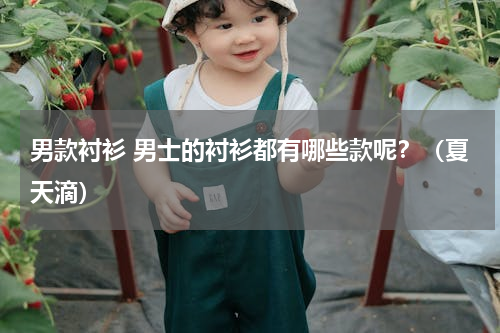 男款衬衫 男士的衬衫都有哪些款呢？（夏天滴）
