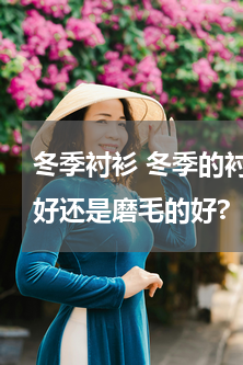 冬季衬衫 冬季的衬衫有没有推荐?加绒的好还是磨毛的好?