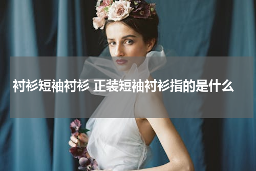 衬衫短袖衬衫 正装短袖衬衫指的是什么