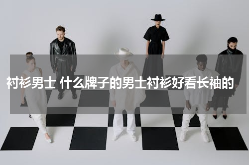 衬衫男士 什么牌子的男士衬衫好看长袖的