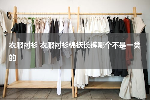 衣服衬衫 衣服衬衫棉袄长裤哪个不是一类的