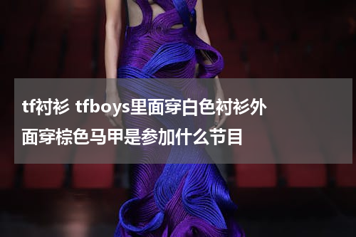 tf衬衫 tfboys里面穿白色衬衫外面穿棕色马甲是参加什么节目