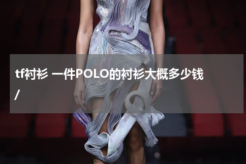 tf衬衫 一件POLO的衬衫大概多少钱/