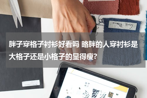 胖子穿格子衬衫好看吗 略胖的人穿衬衫是大格子还是小格子的显得瘦?