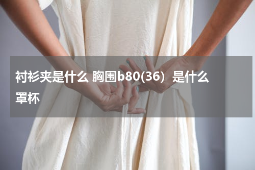 衬衫夹是什么 胸围b80(36）是什么罩杯