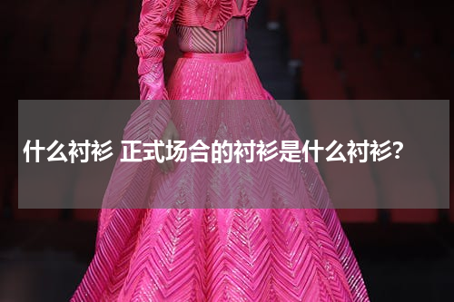 什么衬衫 正式场合的衬衫是什么衬衫？