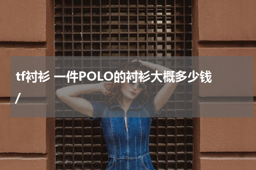 tf衬衫 一件POLO的衬衫大概多少钱/