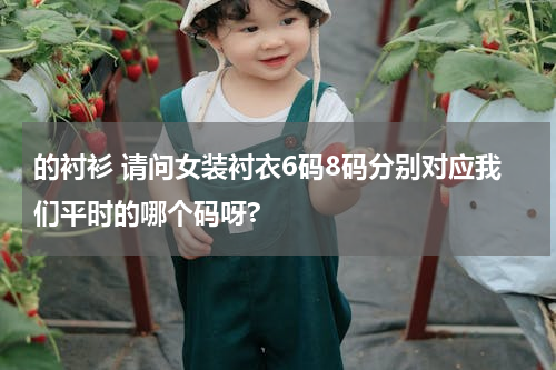 的衬衫 请问女装衬衣6码8码分别对应我们平时的哪个码呀?