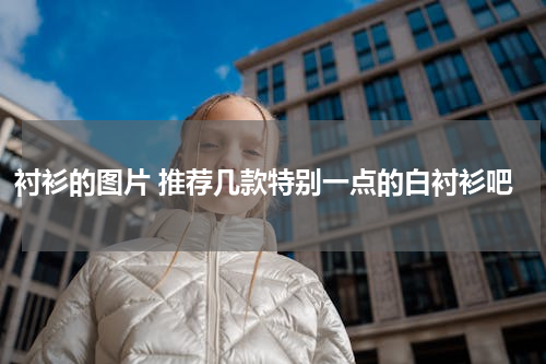 衬衫的图片 推荐几款特别一点的白衬衫吧
